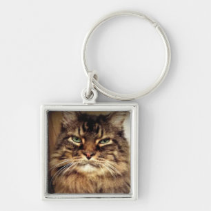 Maine Coon Foto / mürrische Katze Schlüsselanhänger