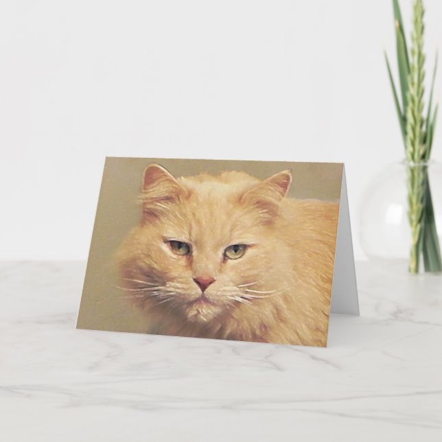 Maine Coon Get Well Card Karte (Vorderseite)
