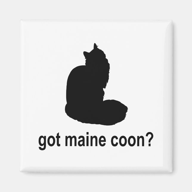Maine Coon got? Magnet (Vorne)