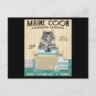 Maine Coon Kat Wäscherei 2 Postkarte
