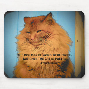 Maine Coon Katze mit französischem Sprichwort Mousepad