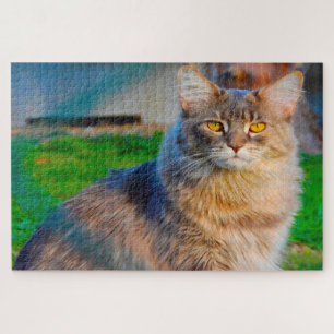 Maine Coon Katzen. Puzzle