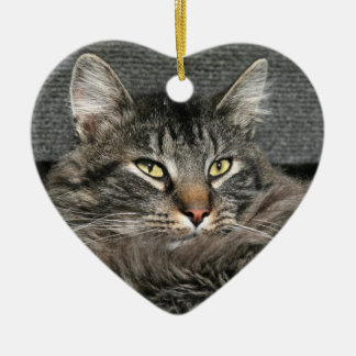 Maine Coon Katzengesicht Keramik Ornament