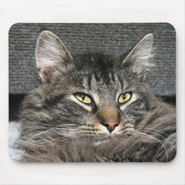 Maine Coon Katzengesicht Mousepad (Vorne)