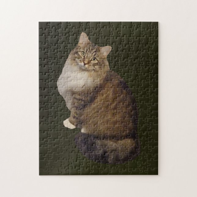 Maine Coon Katzenporträt (Vertikal)