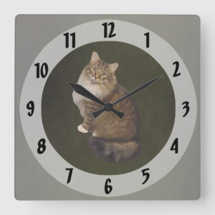 Maine Coon Katzenporträt Quadratische Wanduhr