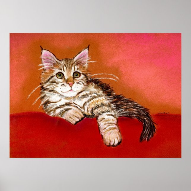 Maine Coon Kitten Cat Portrait Poster (Vorne)