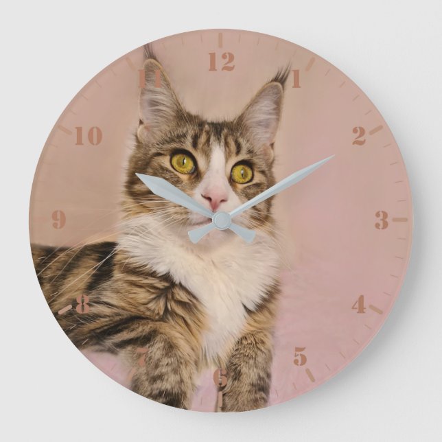 Maine Coon kitten Portrait Große Wanduhr (Vorderseite)