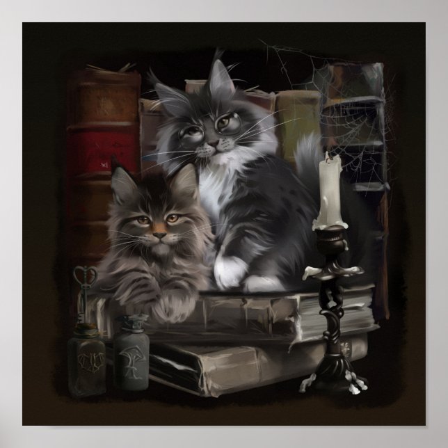 Maine Coon Kittens Poster (Vorne)