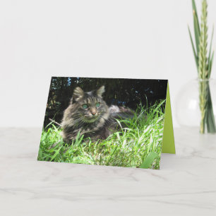 Maine Coon Kitty Cat Cute Carte personnalisable