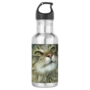 Maine Coon kitty Edelstahlflasche