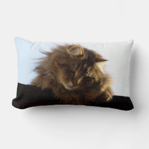 Maine Coon Long-haar Tabby Katze Tiertier Lendenkissen