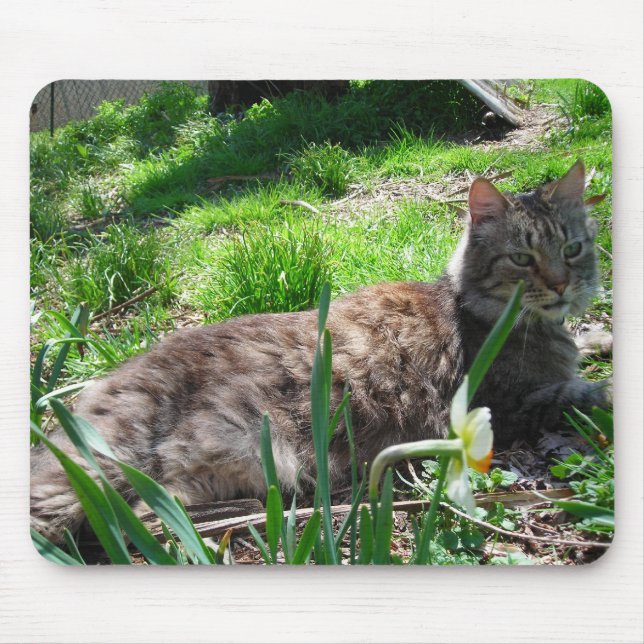 Maine Coon Mouse Pad Mousepad (Vorne)