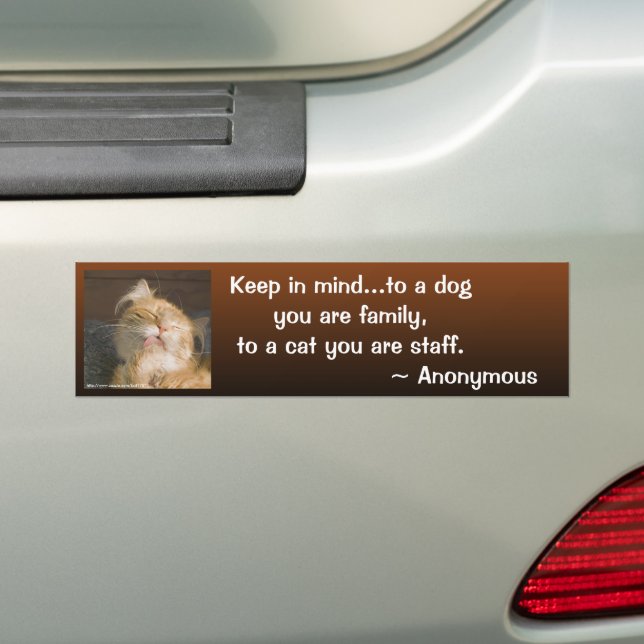 Maine Coon Nah-Up Foto Personalisiert Autoaufkleber (Auf Auto)