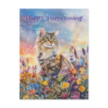 Maine Coon Postcross - Postkarte