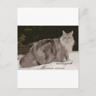Maine Coon Postkarte