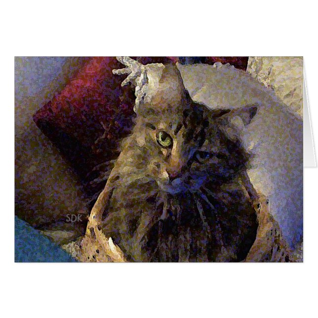 Maine Coon Tabby Cat (Vorderseite (Horizontal))