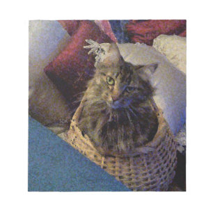 Maine Coon Tabby Cat Notizblock