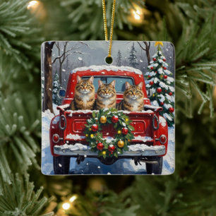 Maine Coon Weihnachten Rotes Lastwagen Ferien Keramikornament
