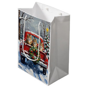 Maine Coon Weihnachten Rotes Lastwagen Ferien Mittlere Geschenktüte