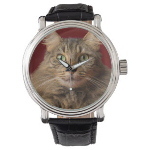 Maine Coon zu Weihnachten mit Sammler Armbanduhr