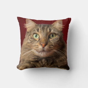 Maine Coon zu Weihnachten mit Sammler Kissen