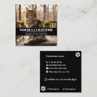Maine Coon Zucht personalisiert Quadratische Visitenkarte