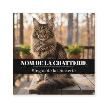 Maine Coon Zucht personalisiert