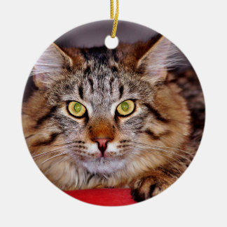 Maine-Coone Katze Keramikornament