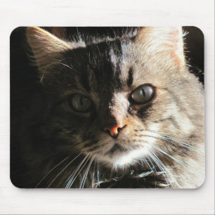 Maine Coons Gesicht Mousepad