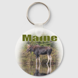 Maine-Elche Schlüsselanhänger