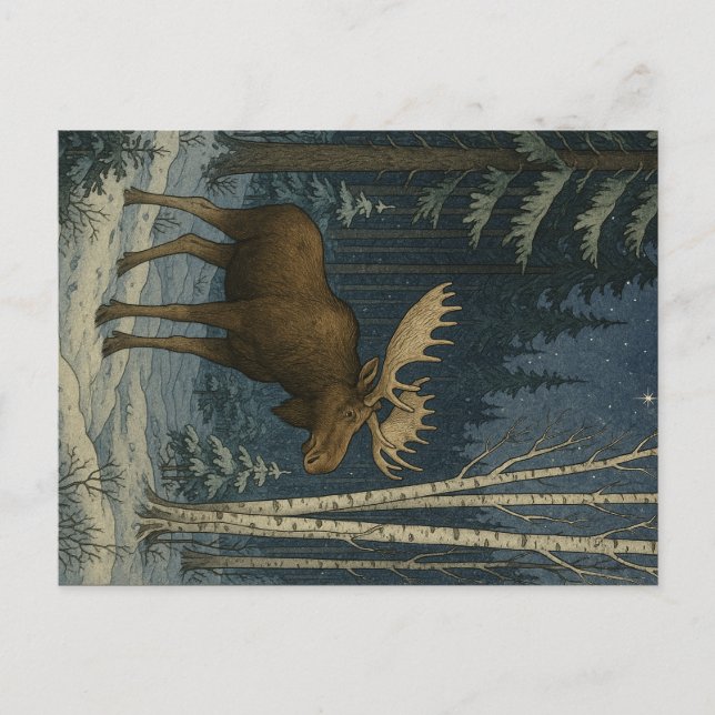 Maine Else im Winterschnee Postkarte (Vorderseite)