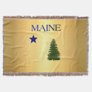 Maine-Flagge 1901 Decke