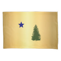 Maine-Flagge 1901