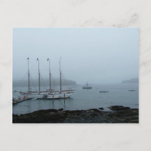 Maine Harbor Postkarte