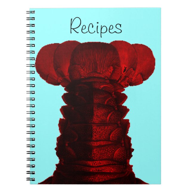 Maine-Hummer-Rezept-Notizbuch Notizblock (Vorderseite)