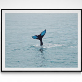 Maine Humpback Whale Schwanz Poster