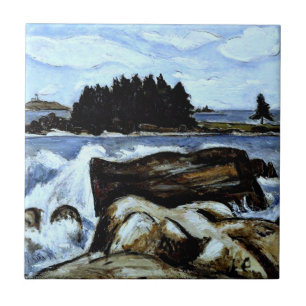 Maine, Jotham's Island, Fliese