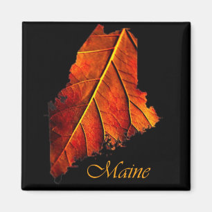 Maine Magnet souvenir