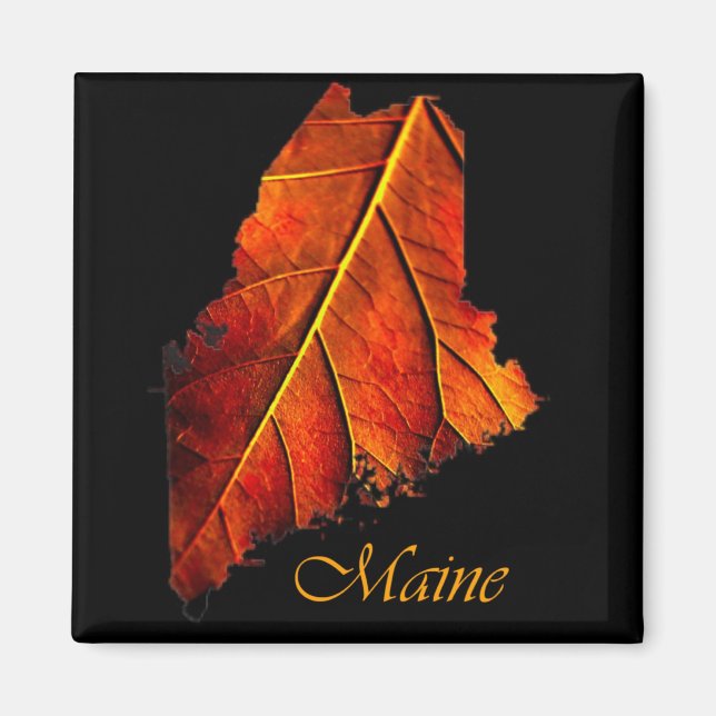 Maine Magnet souvenir (Devant)
