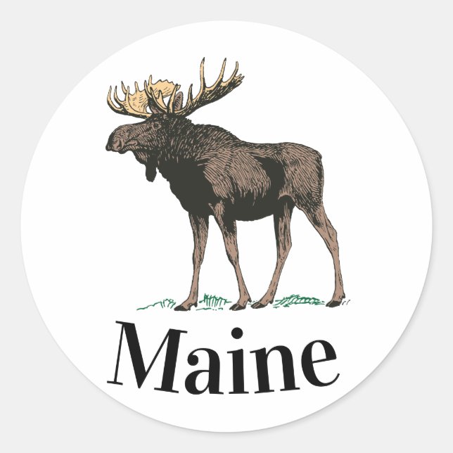 Maine Moose Runder Aufkleber (Vorderseite)
