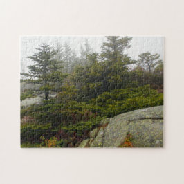Maine Pine Boulders Acadia Foto