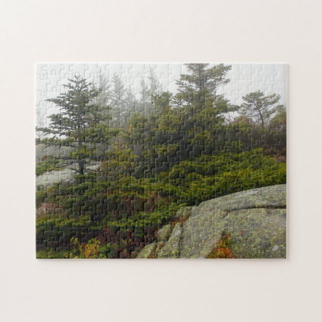 Maine Pine Boulders Acadia Foto (Horizontal)