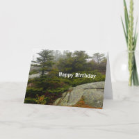 Maine Pine Boulders Acadia Foto Geburtstag