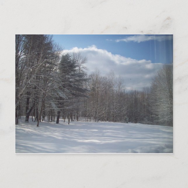 Maine Postkarte (Vorderseite)