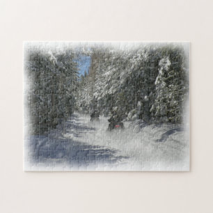 Maine Sledding