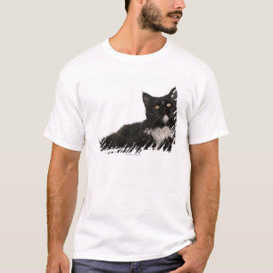 Maine-Waschbär (15 Monate alte) T-Shirt