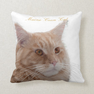 Maine-Waschbär-Katze Kissen