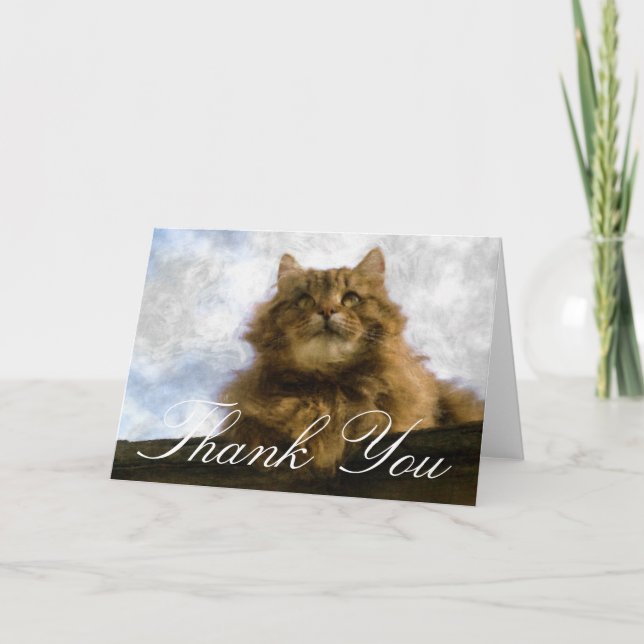 Maine-Waschbär-Katzen-Impressionist-Kunst danken Dankeskarte (Vorderseite)