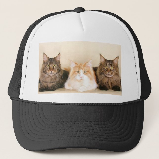 Maine-Waschbär Katzen-Kappe Truckerkappe (Vorderseite)
